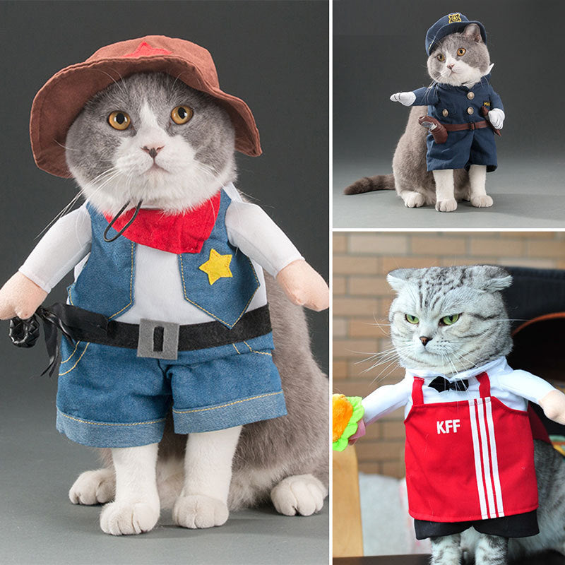 Disfraz de gato mascota primavera y otoño.