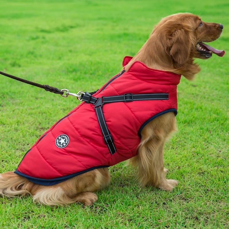 Vêtements d'hiver pour chiens et petits chiens, manteau chaud à capuche, vestes pour Chihuahua, carlin, vêtements pour chiots et chats