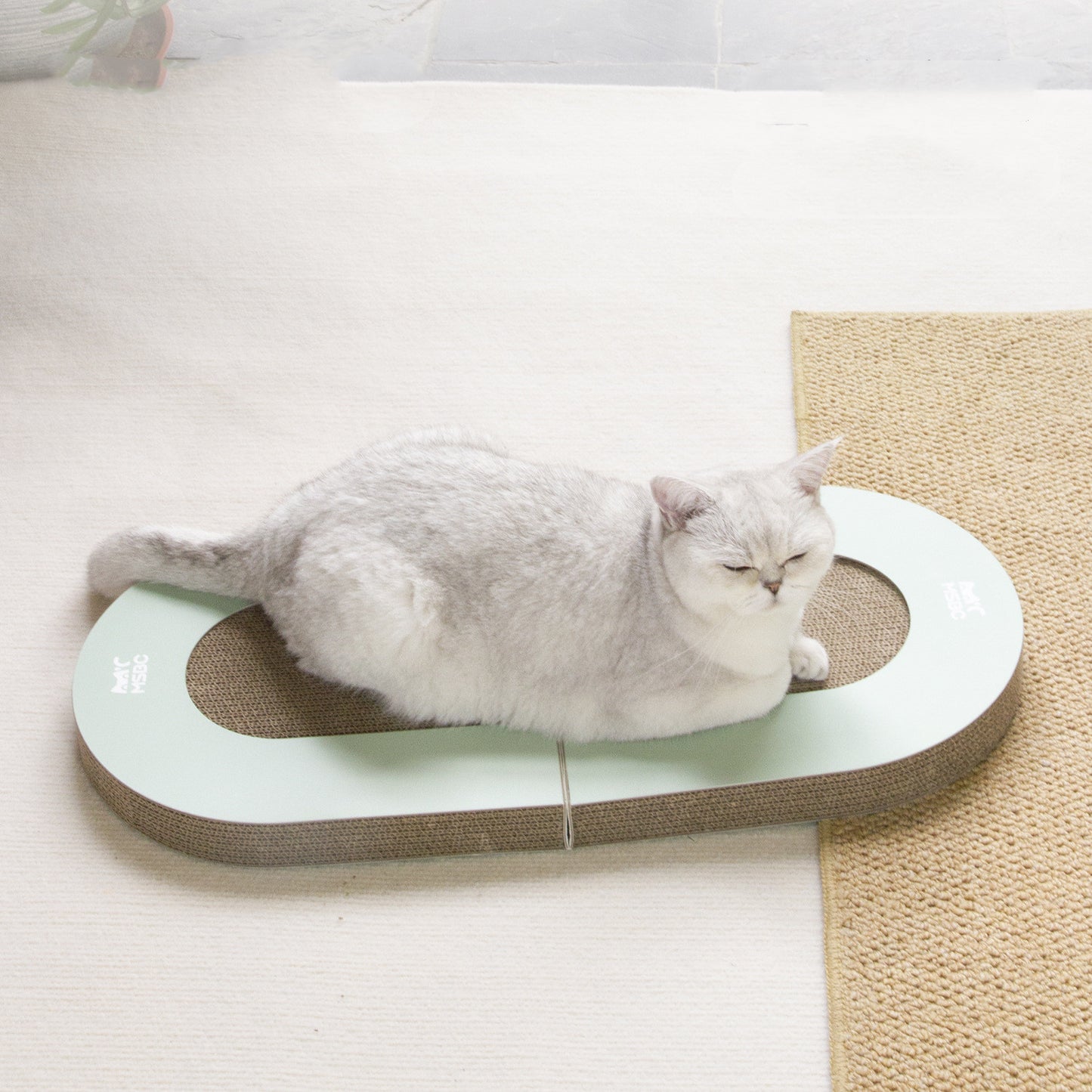 Planche à saisir pliante en papier ondulé pour chat, avec boule, fournitures pour animaux de compagnie, jouets pour chats, produits pour animaux de compagnie