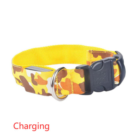 Collier de chien lumineux, fournitures pour animaux de compagnie, Camouflage