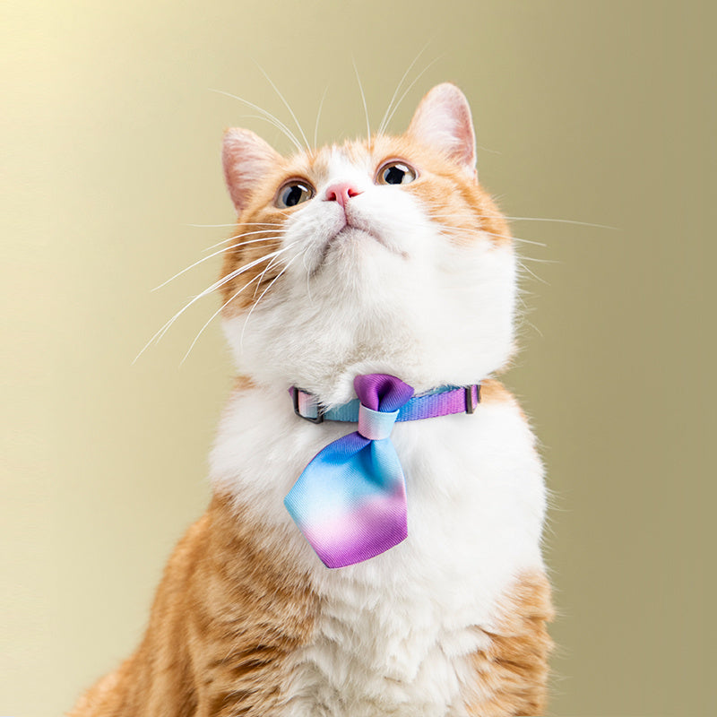 Collier pour chien, accessoires de cravate pour hommes, produits réglables pour animaux de compagnie