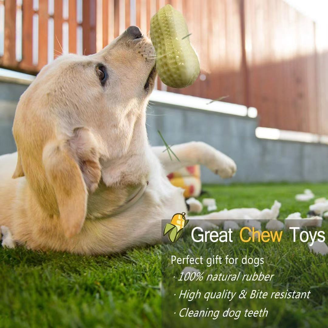 Jouets grinçants amusants pour chiens de compagnie, pour petits chiens moyens, résistant aux morsures, chiot, chat, jouets pour animaux de compagnie, en caoutchouc, cacahuètes, jouet à mâcher pour dents propres