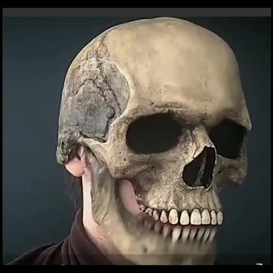 Masque de crâne complet, casque avec mâchoire mobile, squelette 3D, masque d'horreur, Costume de Cosplay pour adultes