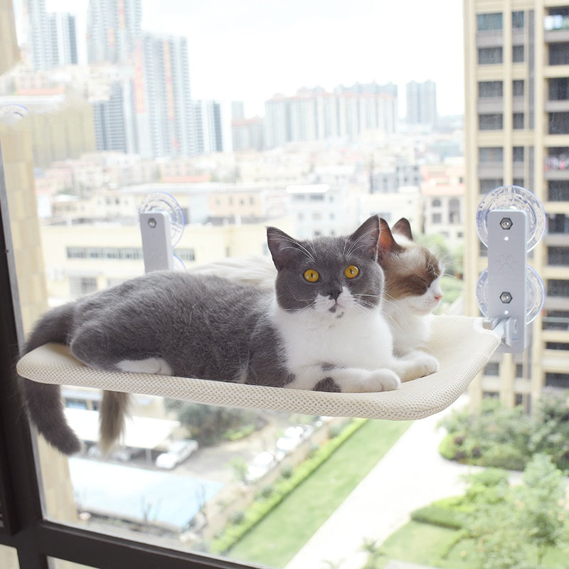 Gato ventosa ventana vidrio hamaca mascota gato mascotas productos
