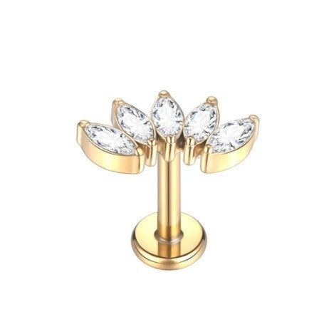Couronne d'oreille en titane pur, fil interne, chaîne, pendentif, clous d'oreille, trèfle, Labret, produit de perçage
