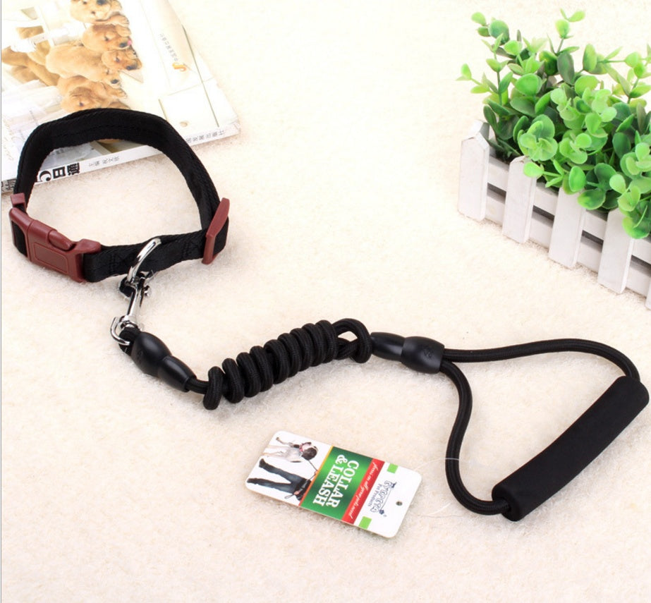 chaîne pour chien, collier pour chien, corde de harnais pour animaux de compagnie