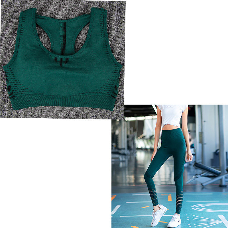 TerritorioFit Leggings de yoga sin costuras para mujer 