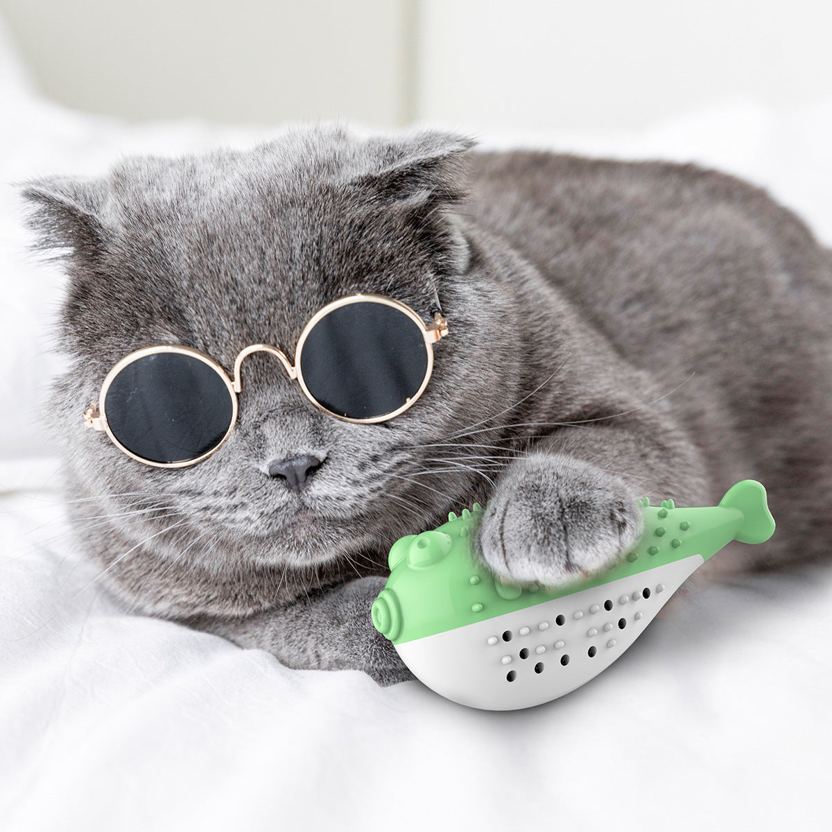 Juguete de cepillo de dientes de gato con pez de simulación de menta