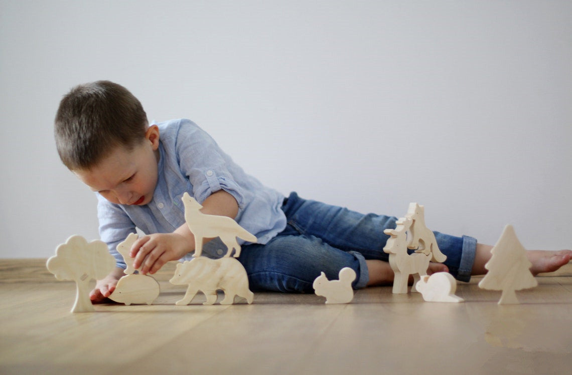 Jouets scientifiques et éducatifs en bois pour enfants
