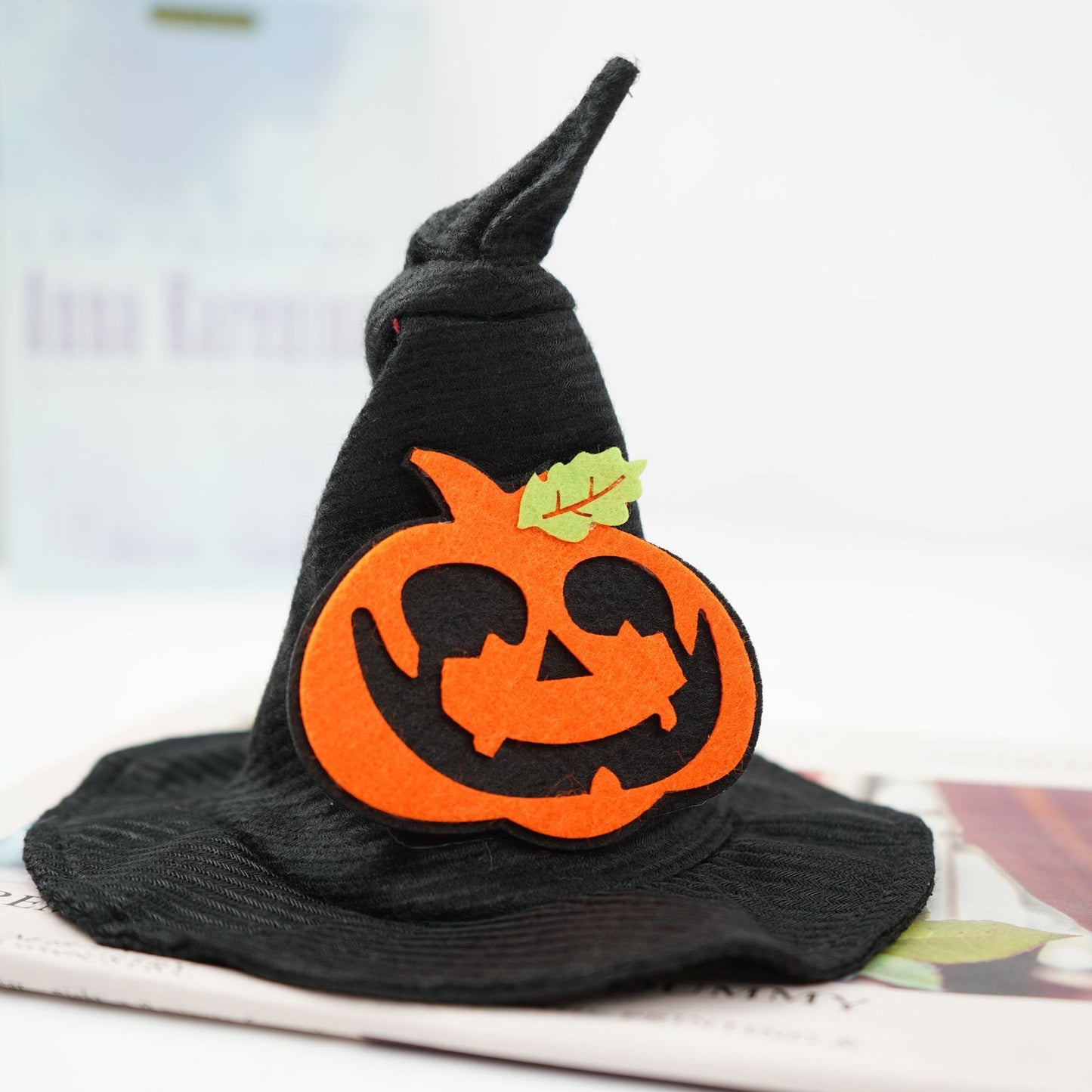 Transformez-vous en chapeau d'Halloween créatif pour animaux de compagnie d'Halloween magique