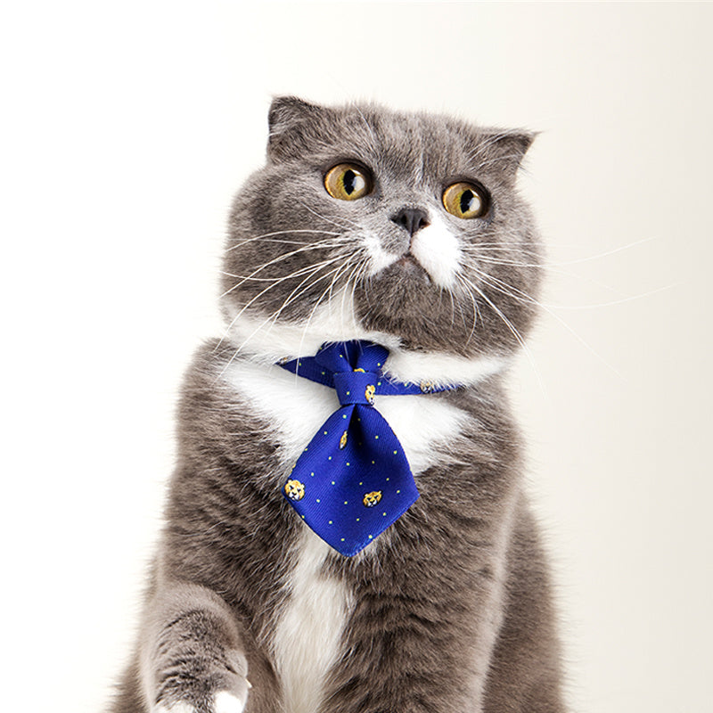 Collier pour chien, accessoires de cravate pour hommes, produits réglables pour animaux de compagnie