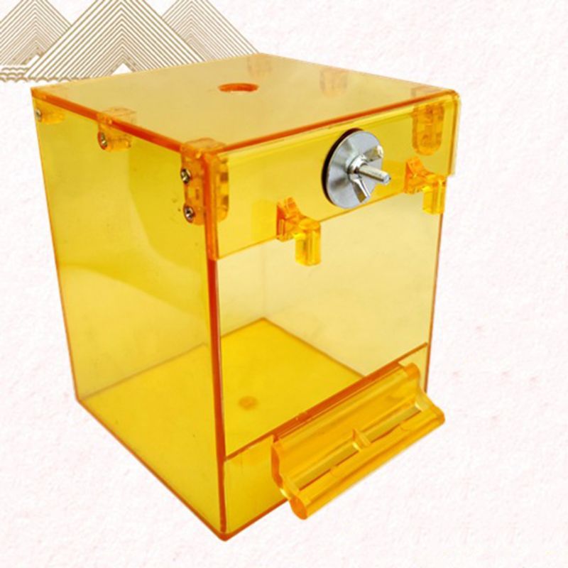 Bain d'oiseaux externe, bain Transparent, bassin carré, fournitures pour oiseaux, fournitures pour animaux de compagnie