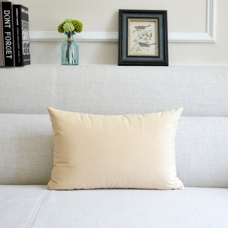 Coussin décoratif en velours pour canapé