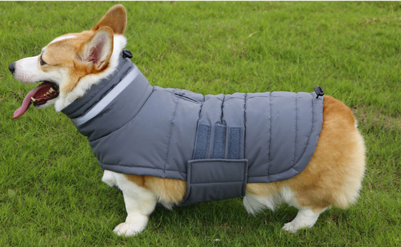 Manteau d'hiver imperméable pour chien, vêtements pour animaux de compagnie de grande taille, gilet chaud et épais pour chien, veste personnalisée du Labrador, nouvelle collection
