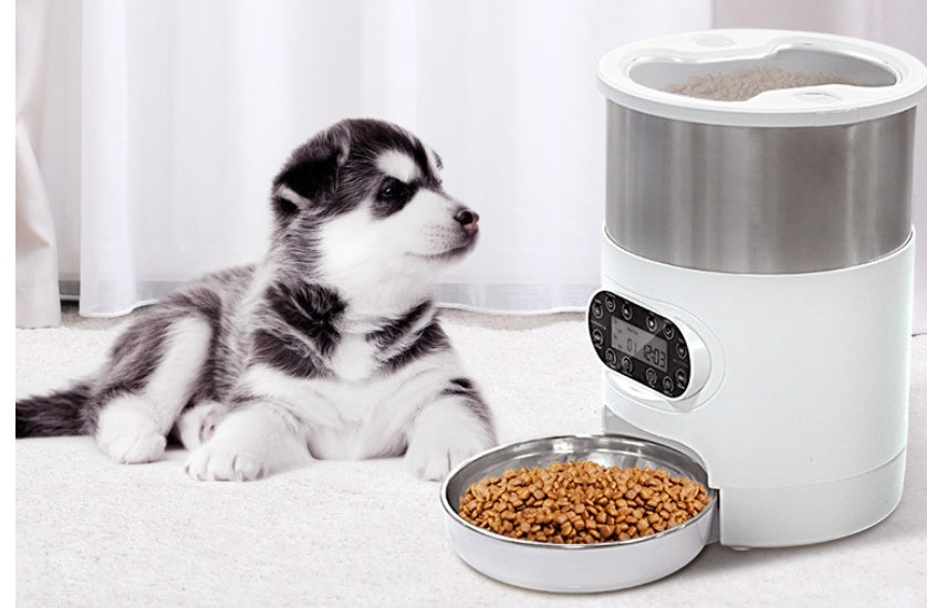 Alimentador inteligente para mascotas, dispensador automático de comida para gatos y perros, tazón de acero inoxidable, con sincronización de grabación, alimentación