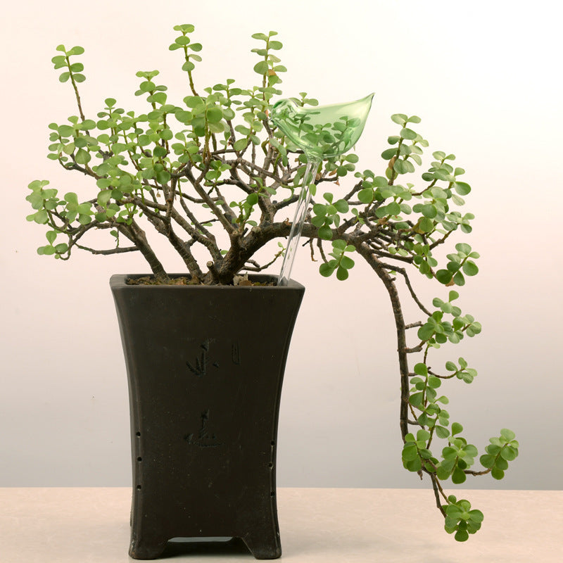 Regaderas automáticas de vidrio para pájaros, regaderas de flores, plantas decorativas, dispositivo de riego de vidrio transparente, planta de interior