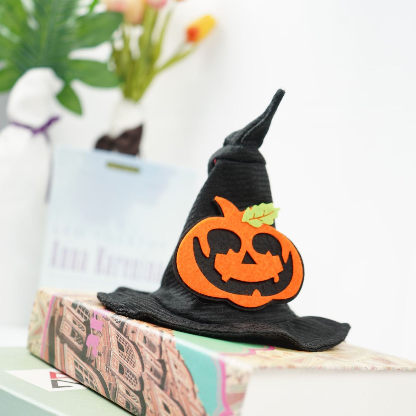 Transformez-vous en chapeau d'Halloween créatif pour animaux de compagnie d'Halloween magique