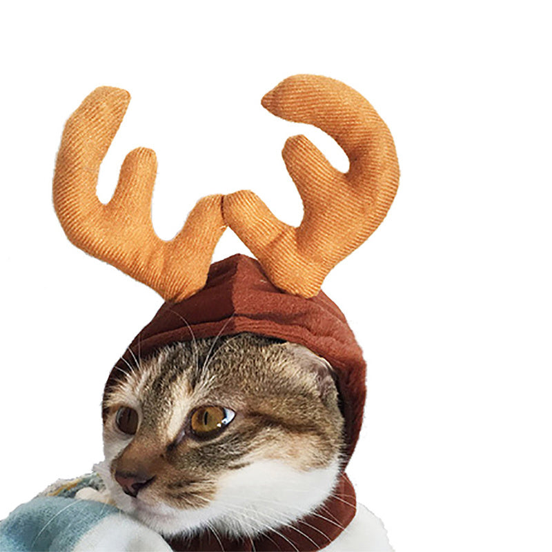 Costume mignon de chat de chien, cape de noël, déguisement d'halloween, chat