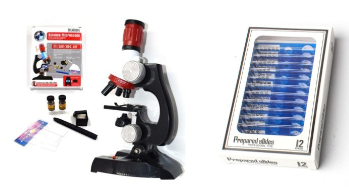 Microscope des sciences biologiques et de l'éducation des enfants