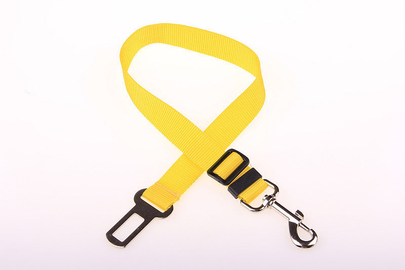 Sangle fixe en polyester pour chien, laisse pour chien, laisse pour chien