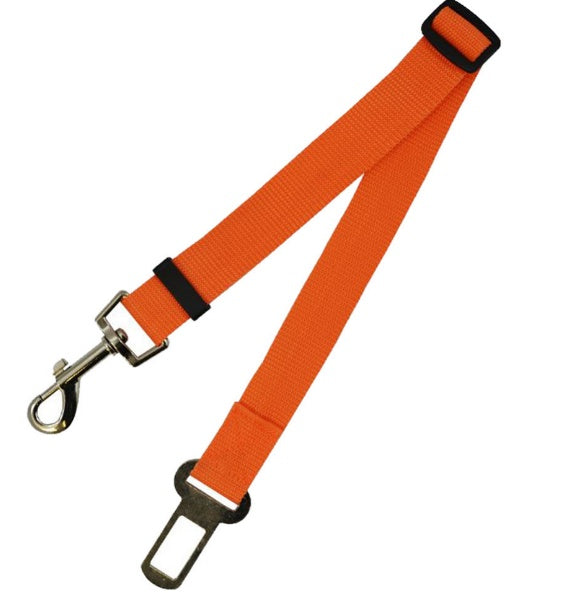 Sangle fixe en polyester pour chien, laisse pour chien, laisse pour chien