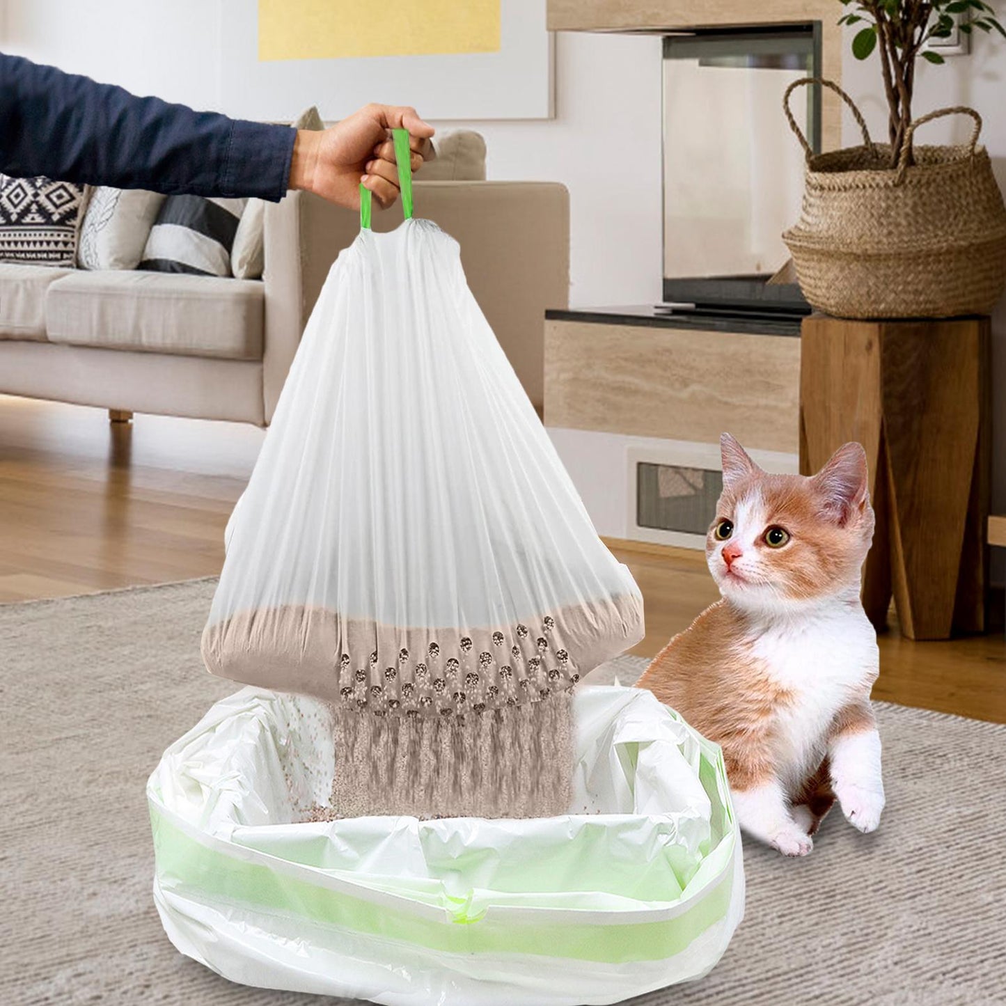Sac à excréments de chat, produits de nettoyage pour animaux de compagnie