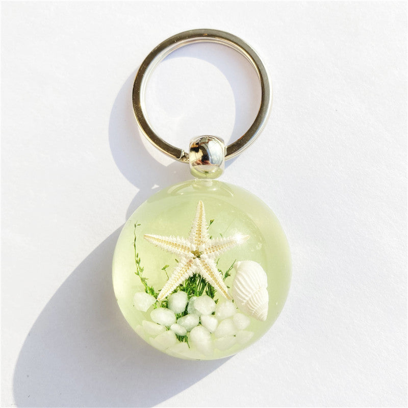 Colgante de llavero de ámbar de estrella de mar