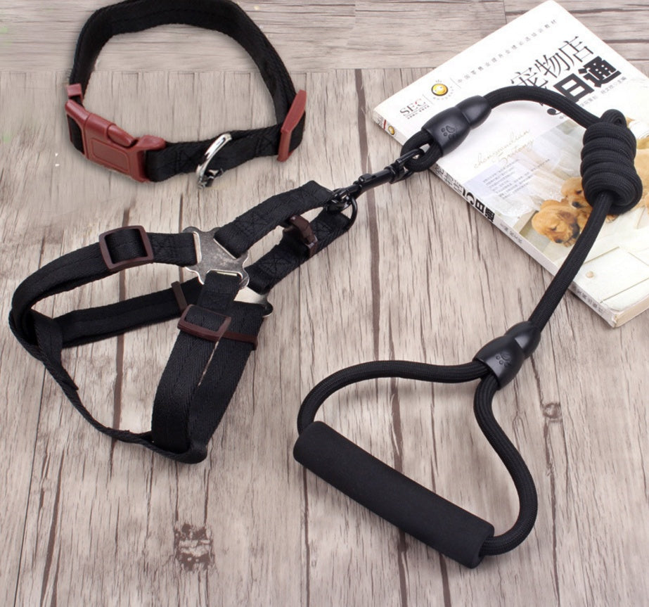 chaîne pour chien, collier pour chien, corde de harnais pour animaux de compagnie