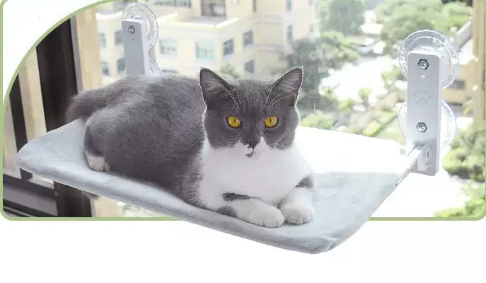 Gato ventosa ventana vidrio hamaca mascota gato mascotas productos