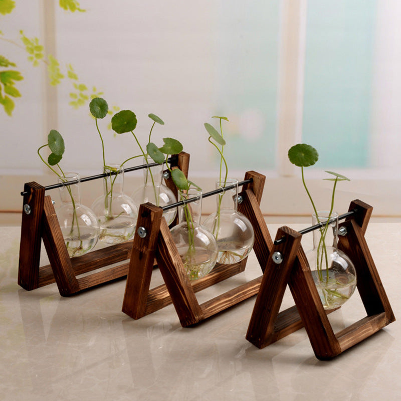 Vase en verre de récipient de plante hydroponique de support en bois d'oscillation