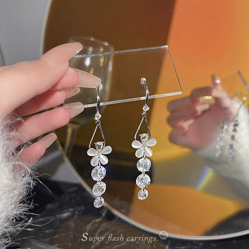 Boucles d'oreilles en zircon à longues franges et aiguille en argent