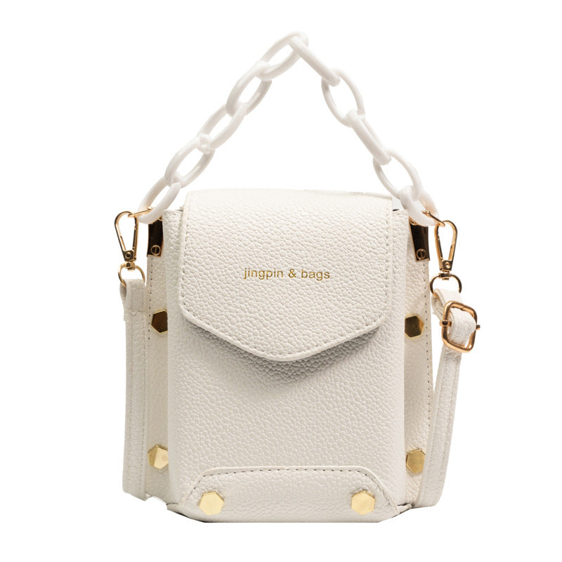 Sac de mode en acrylique tendance