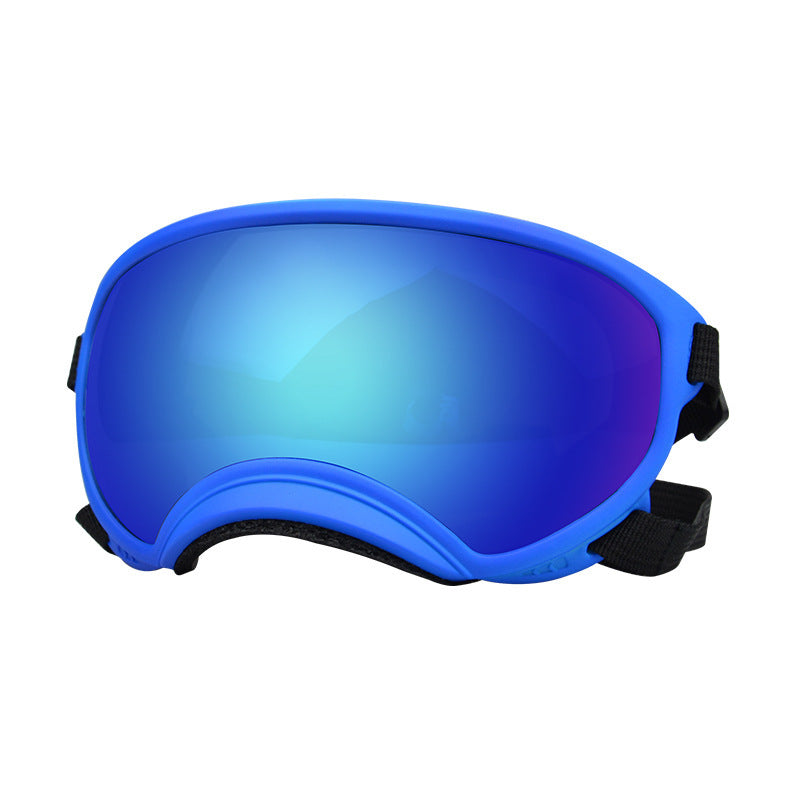 Lunettes de protection contre le vent pour chien Ski Pet