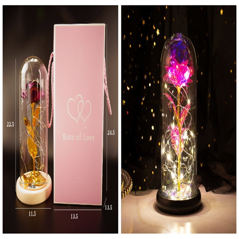 Cubierta de cristal del Principito Rosa