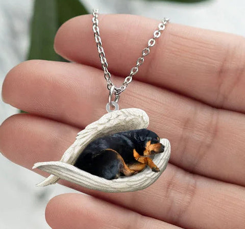 Collier de boîte-cadeau plat en acrylique pour animaux de compagnie ange endormi