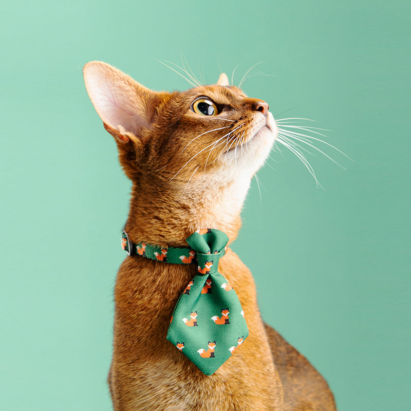 Collier pour chien, accessoires de cravate pour hommes, produits réglables pour animaux de compagnie