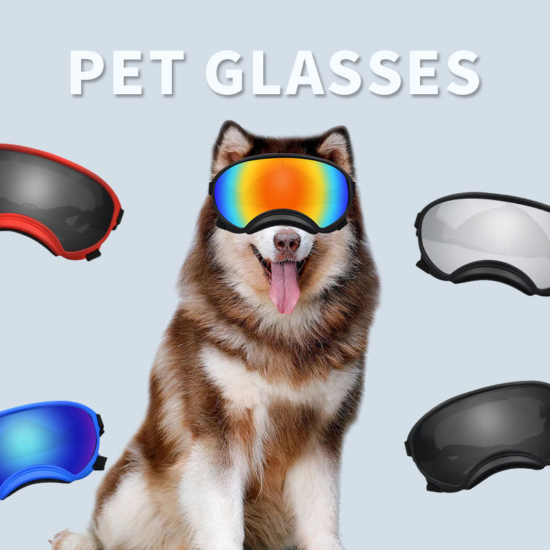 Lunettes de protection contre le vent pour chien Ski Pet