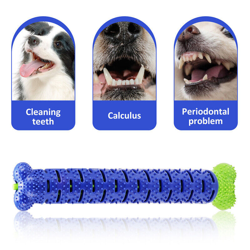 Jouets pour chiens brosse à dents TPR mâcher morsure nettoyage des dents molaire pour animaux de compagnie bâton de brossage chiens brosse à dents à mâcher morsure jouet à mâcher Durable