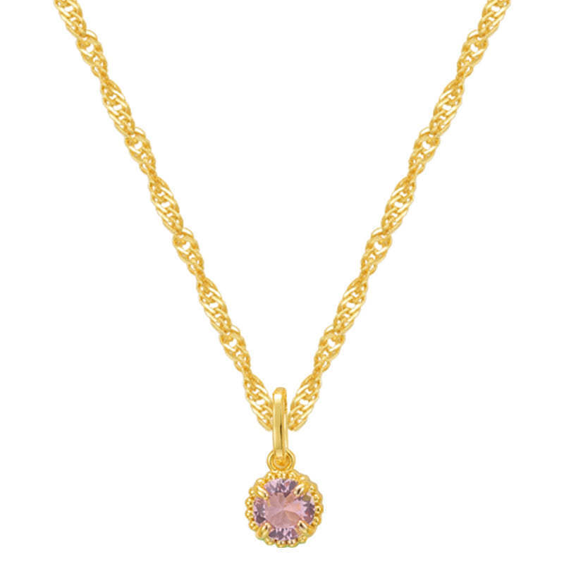 Collier rond en acier inoxydable avec pierre d'anniversaire de décembre
