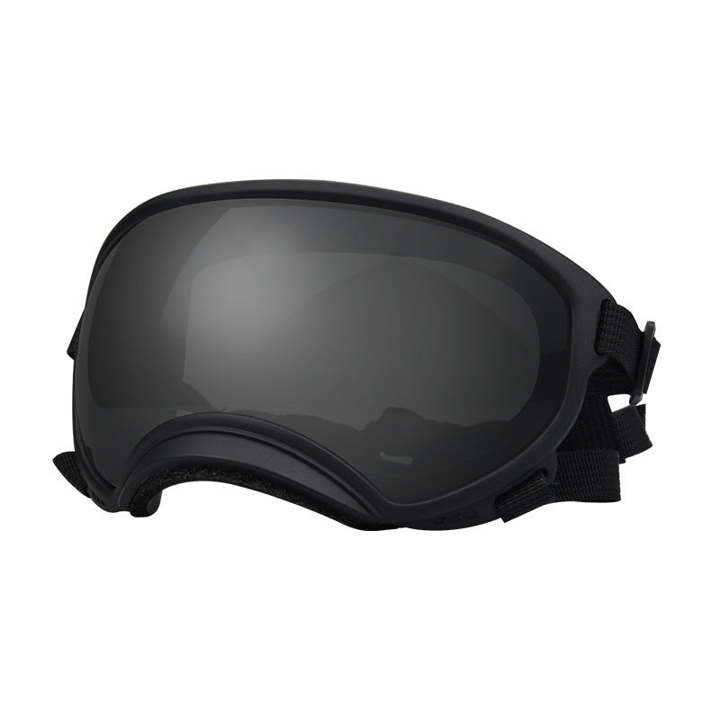 Lunettes de protection contre le vent pour chien Ski Pet