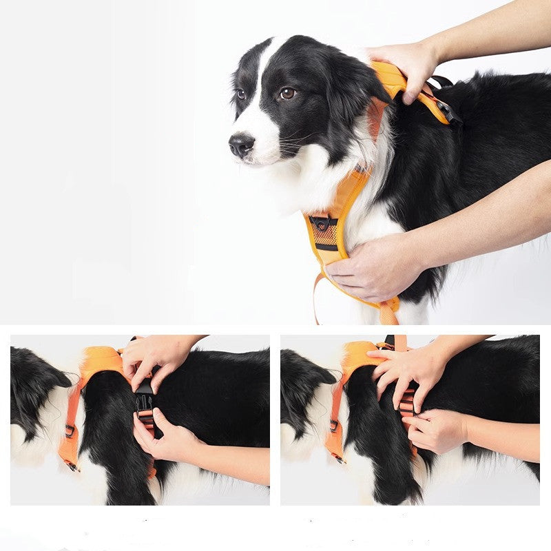 Harnais de collier pour chien, antidéflagrant, poinçon respirant et réglable pour animaux de compagnie, gilet d'entraînement en plein air