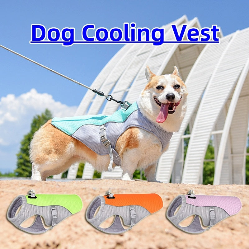 Gilet rafraîchissant d'été pour animaux de compagnie, résistant à la chaleur, vêtements respirants et résistants au soleil pour petits et grands chiens, marche en plein air