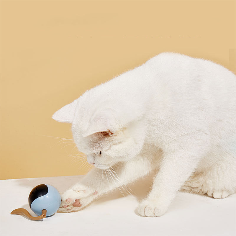 FOS Magic Ball Pet Teaser électrique intelligent pour chat