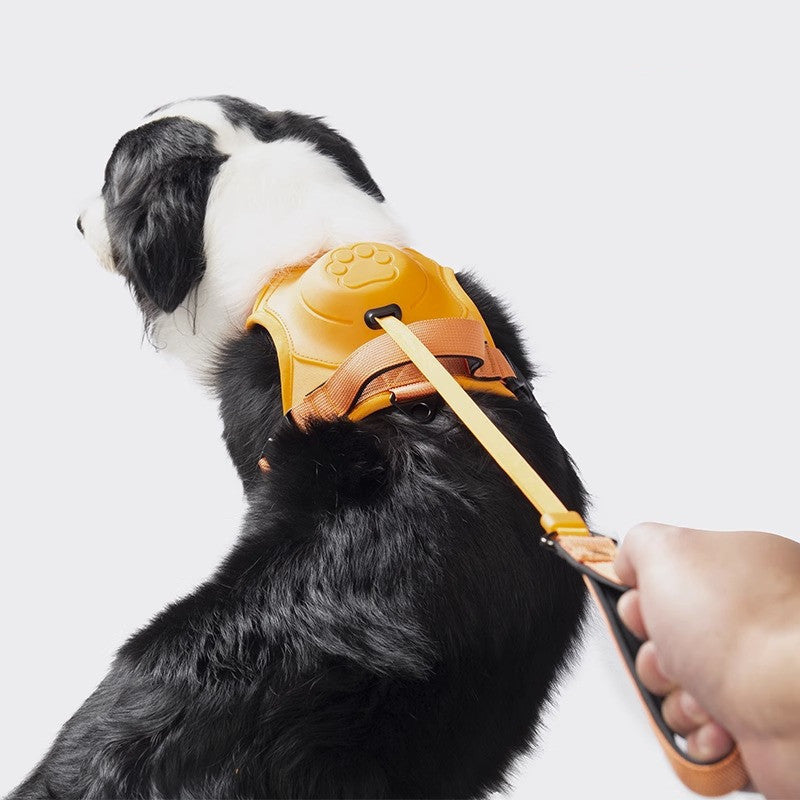 Harnais de collier pour chien, antidéflagrant, poinçon respirant et réglable pour animaux de compagnie, gilet d'entraînement en plein air