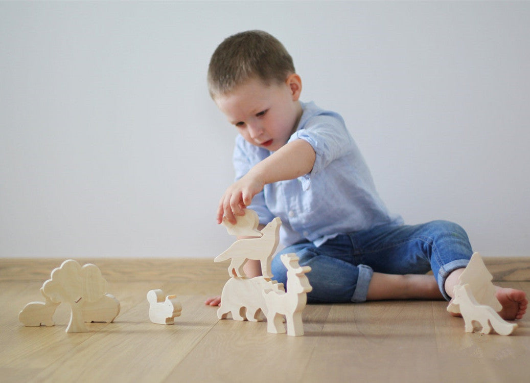 Jouets scientifiques et éducatifs en bois pour enfants