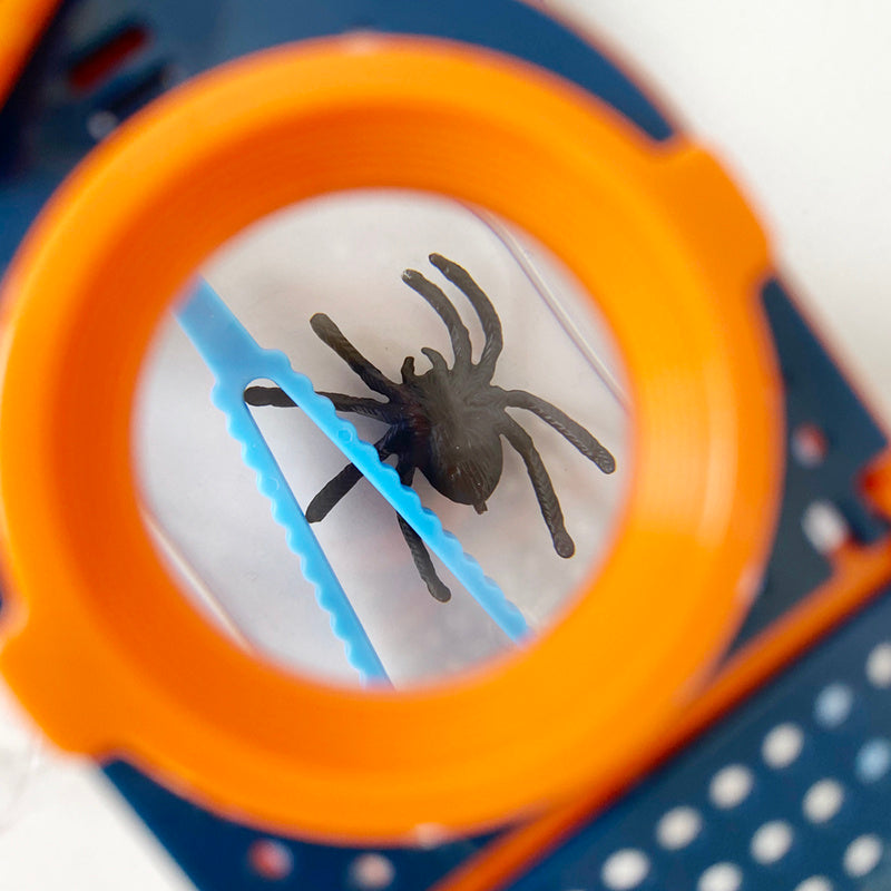 Loupe d'insectes d'extérieur pour enfants 20167D, boîte d'observation, enseignement en classe, cadeaux de maternelle