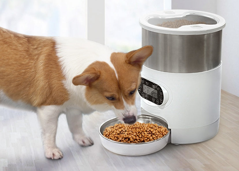 Alimentador inteligente para mascotas, dispensador automático de comida para gatos y perros, tazón de acero inoxidable, con sincronización de grabación, alimentación