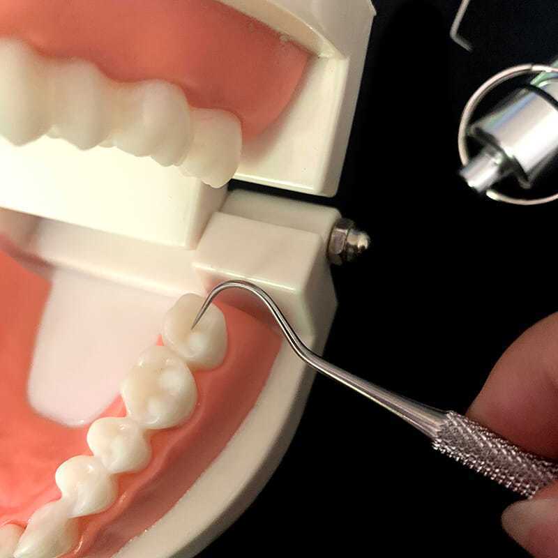Cure-dents en acier inoxydable 304, outil de nettoyage Portable domestique, ensemble de 7 pièces