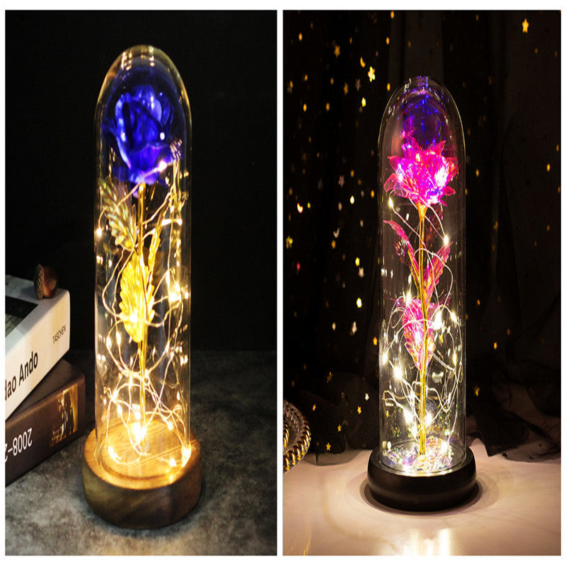 Cubierta de cristal del Principito Rosa