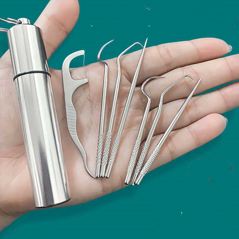 Cure-dents en acier inoxydable 304, outil de nettoyage Portable domestique, ensemble de 7 pièces